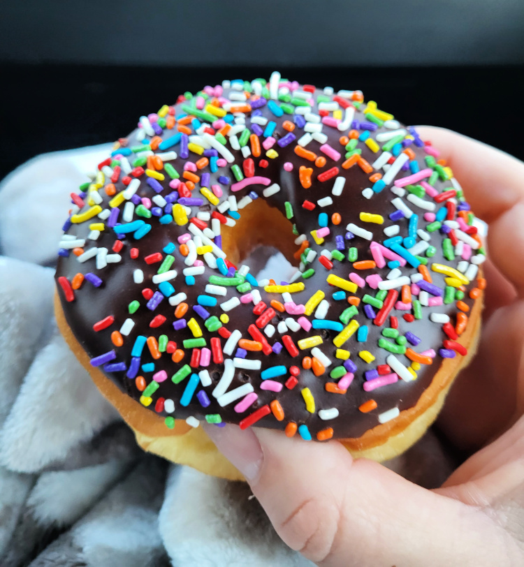 Doughnut from Dundee Donuts Seaside Oregon