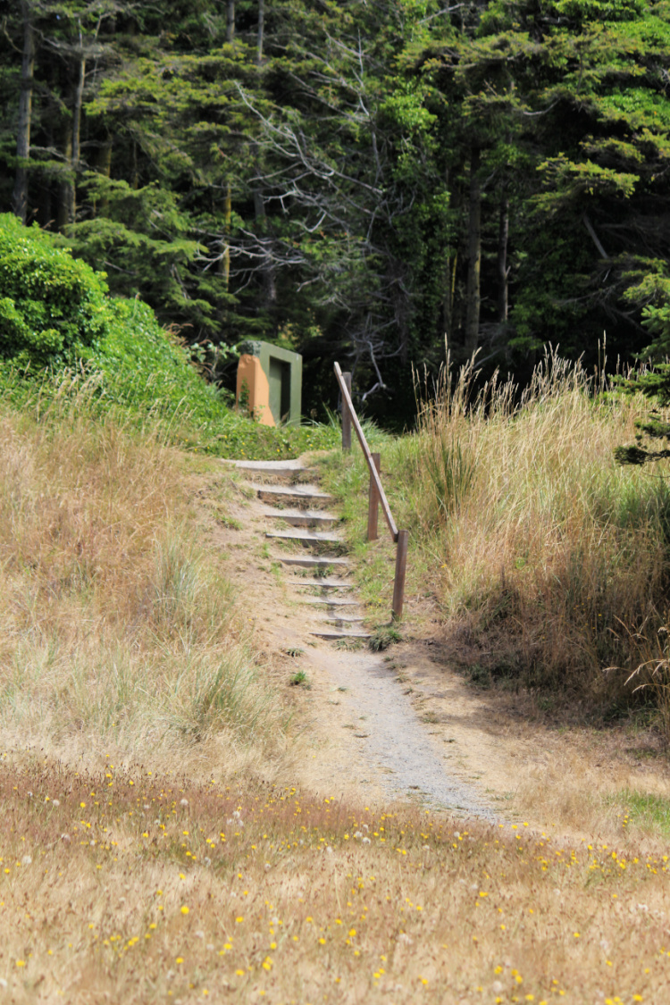 Trail To Bunker at Fort Ebey 