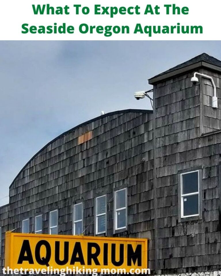 What To Expect At The Seaside Oregon Aquarium