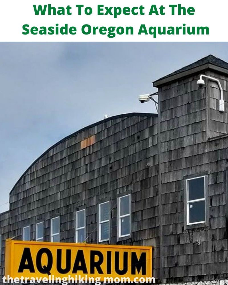 What To Expect At The Seaside Oregon Aquarium The Traveling Hiking Mom