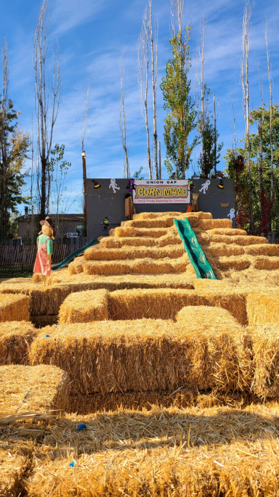 Kids cornmaze climb in Union Gap WA At Corn Maze